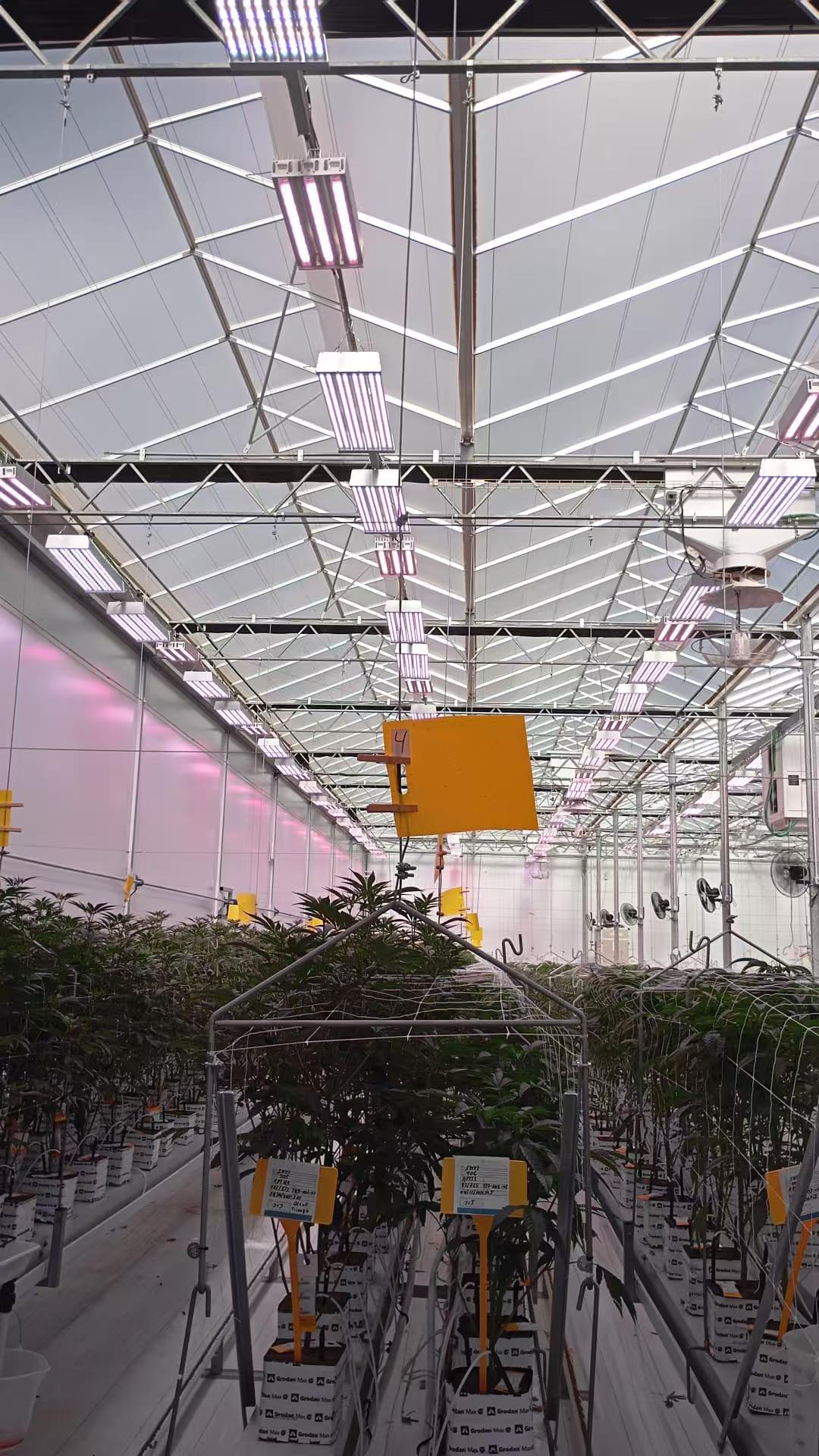 QuardraCore 1000 Platform